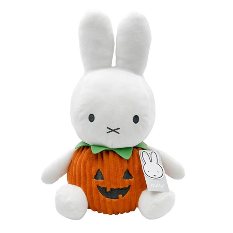 Miffy Halloween In Pumpkin/Product Detail/Plush Toys