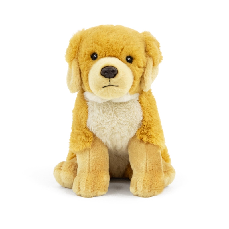 Living Nature - Golden Retriever (Super Soft (20cm))/Product Detail/Plush Toys