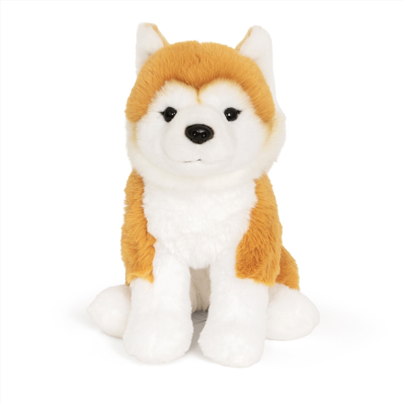 Living Nature - Shiba Inu Super Soft/Product Detail/Plush Toys