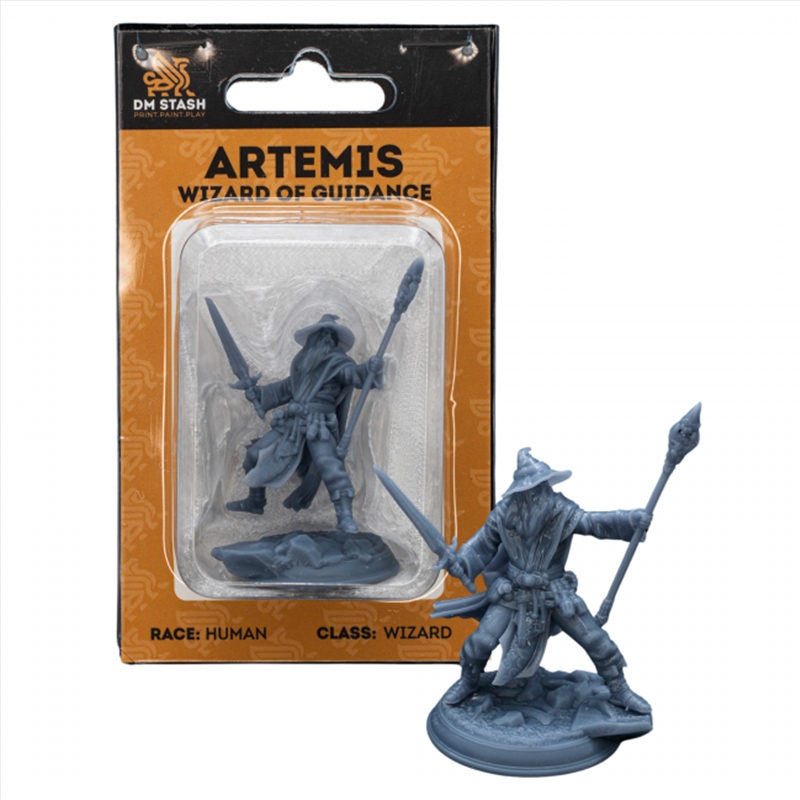DM Stash - Artemis of Canos - Wizard of Guidance Miniature (M)/Product Detail/RPG Games