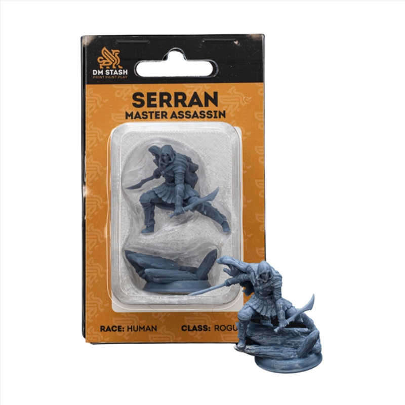 DM Stash - Master Assassin - Serran Miniature (M)/Product Detail/RPG Games