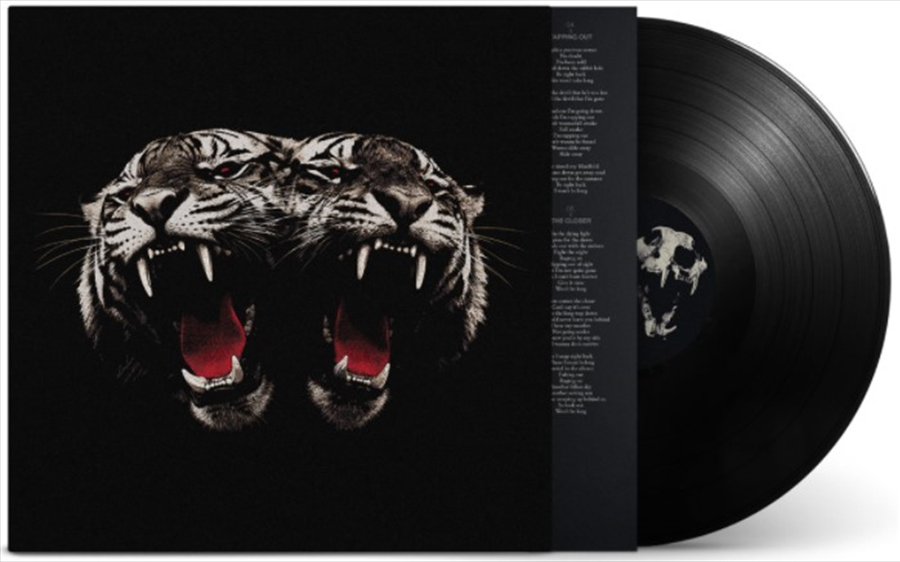 Dead Company/Product Detail/Rock