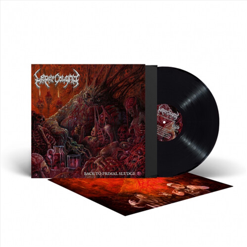 Back To Primal Sludge/Product Detail/Metal