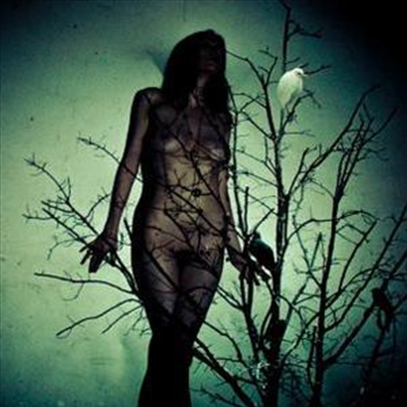 An Ache For The Distance - Bioluminescence Coloured Vinyl/Product Detail/Metal