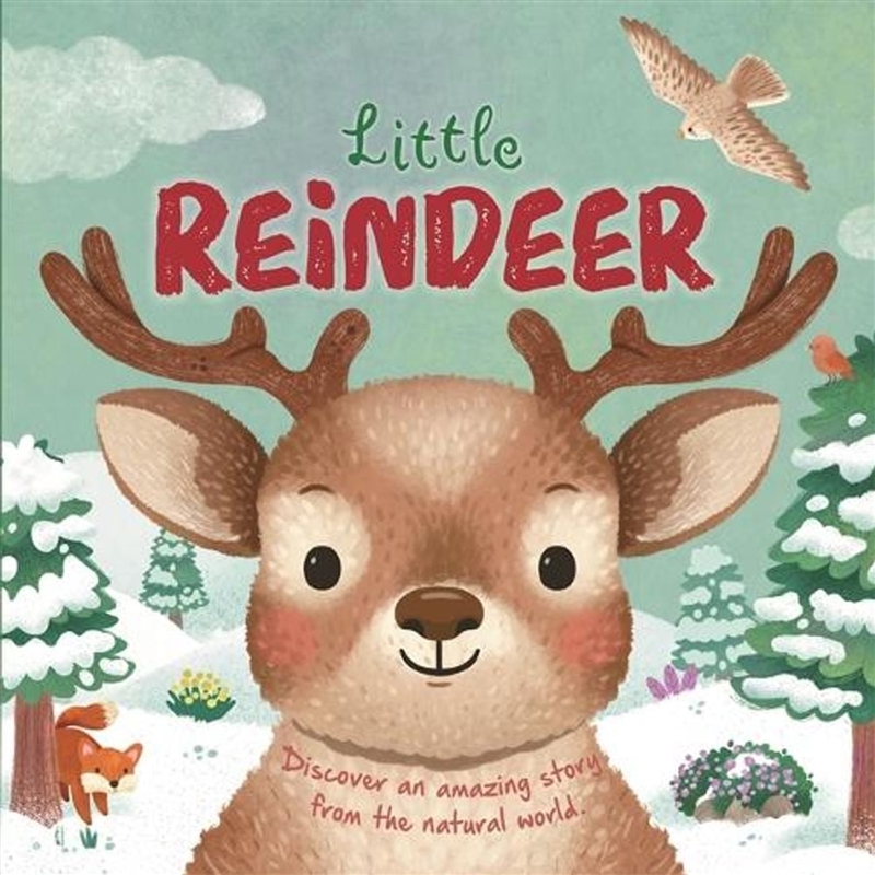 Little Reindeer/Product Detail/Early Childhood Fiction Books