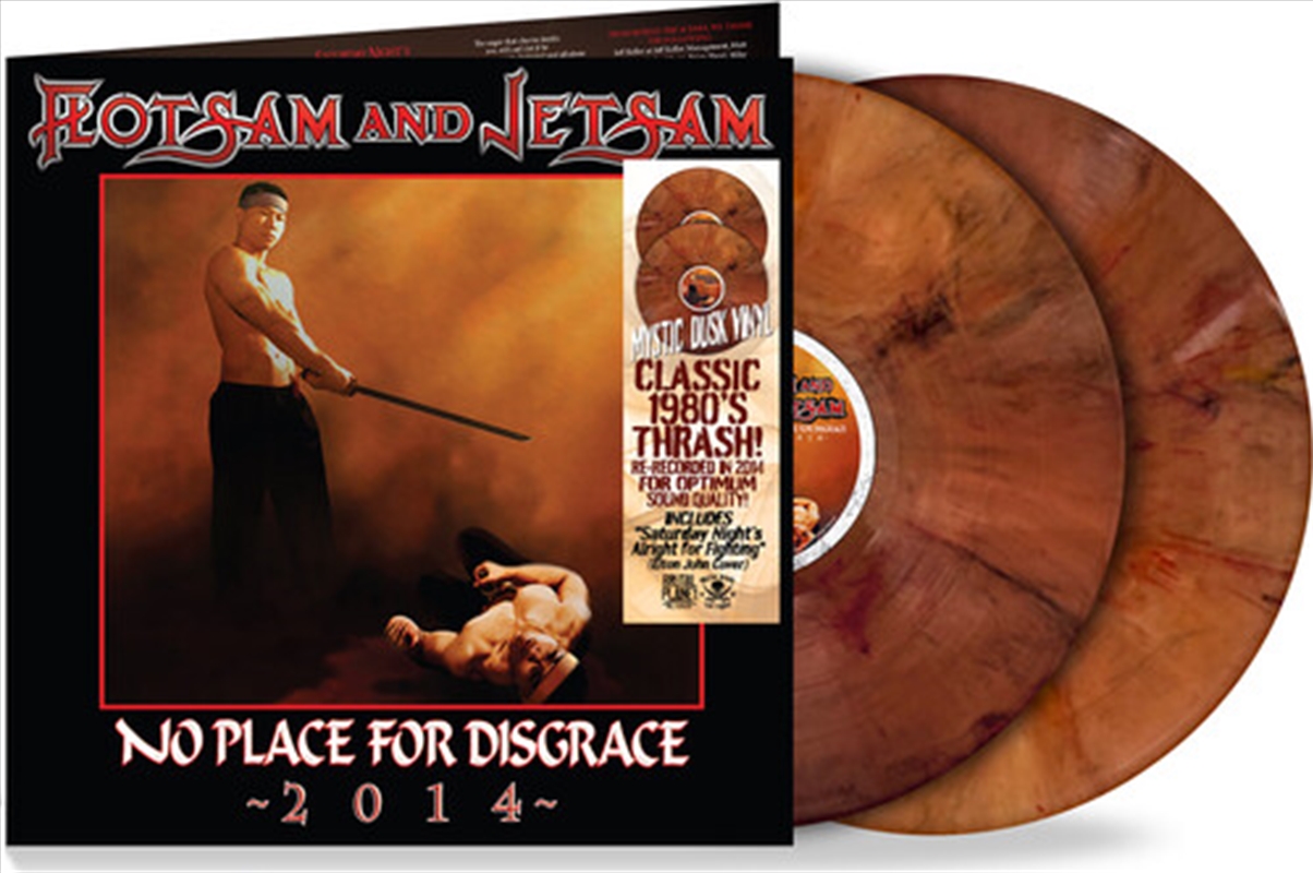 No Place For Disgrace - Coloured Vinyl/Product Detail/Metal
