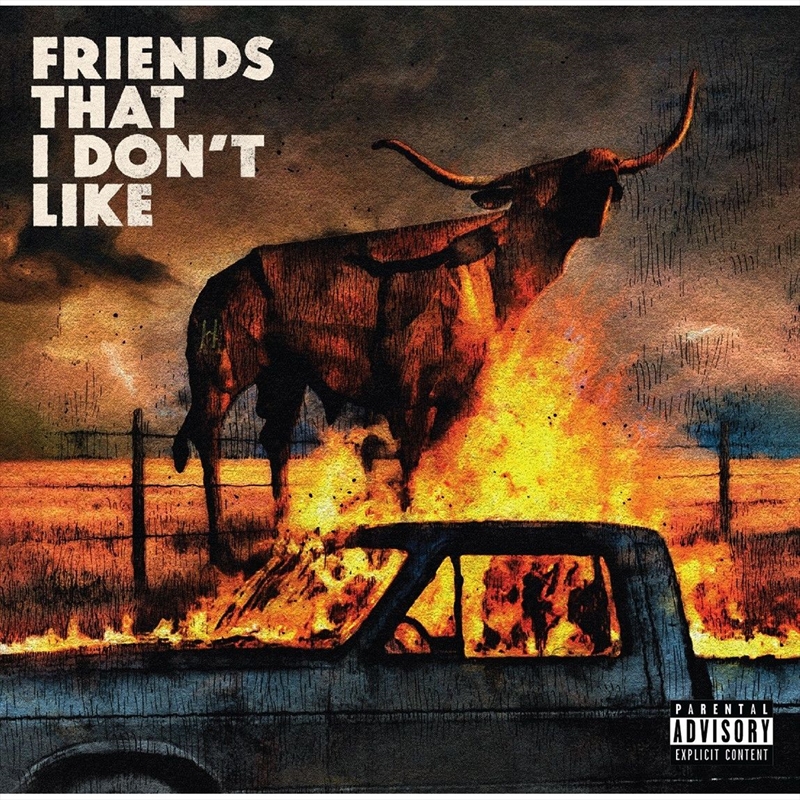 Friends That I Don't Like - Coloured Vinyl/Product Detail/Rock/Pop
