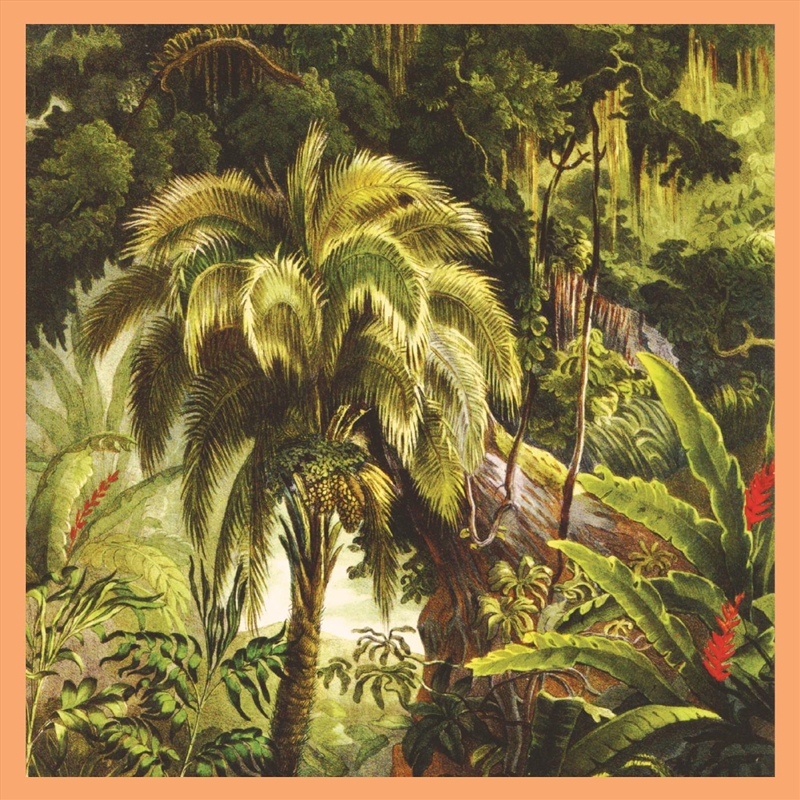 La Foret - Jade Vinyl/Product Detail/Alternative