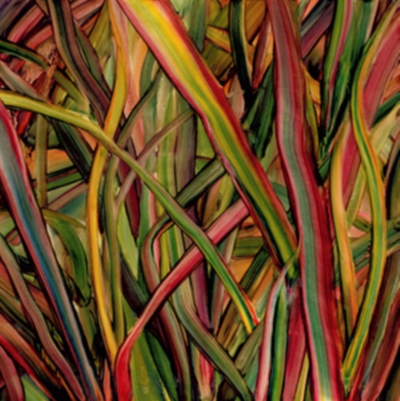 Where Wildness Grows/Product Detail/Rock/Pop