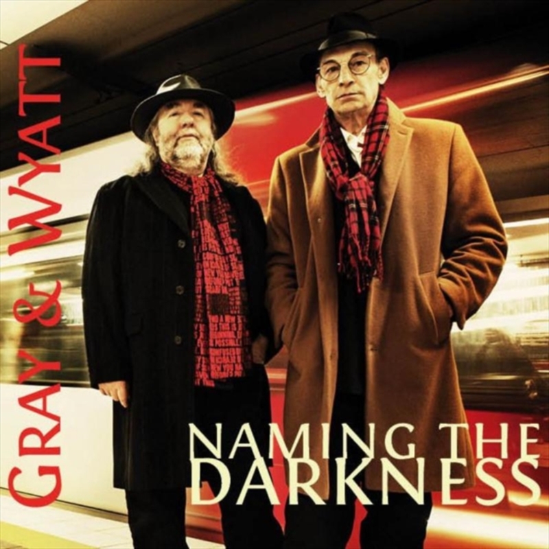 Naming The Darkness/Product Detail/Rock/Pop