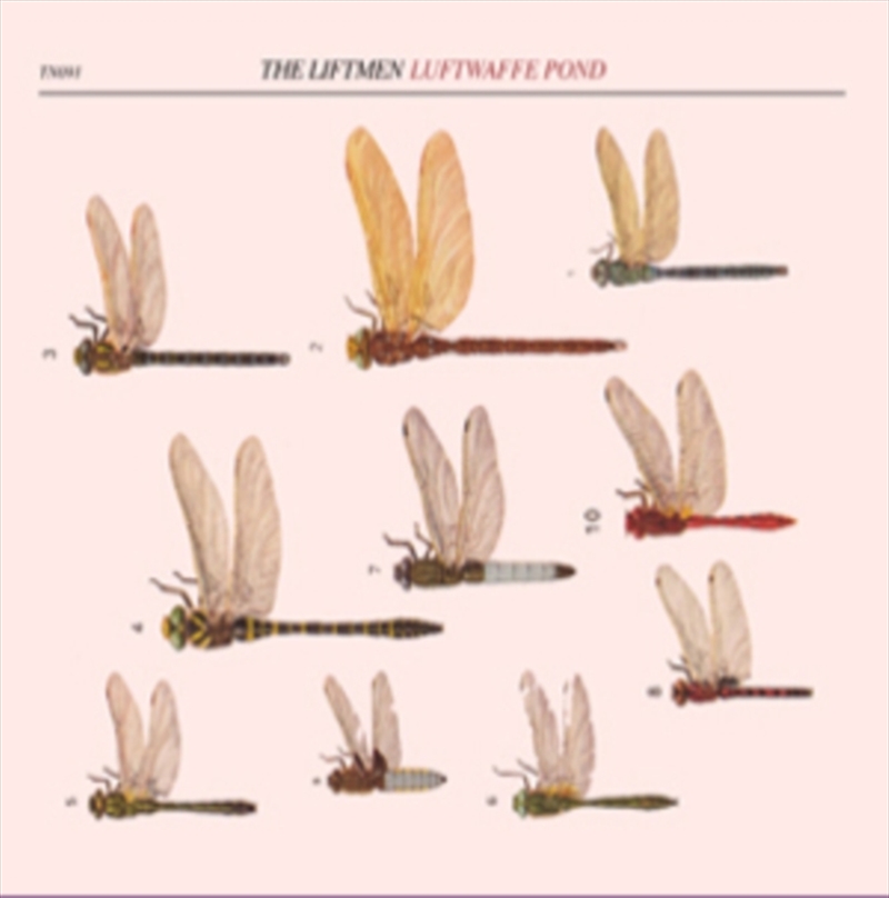 Luftwaffe Pond/Product Detail/Rock/Pop