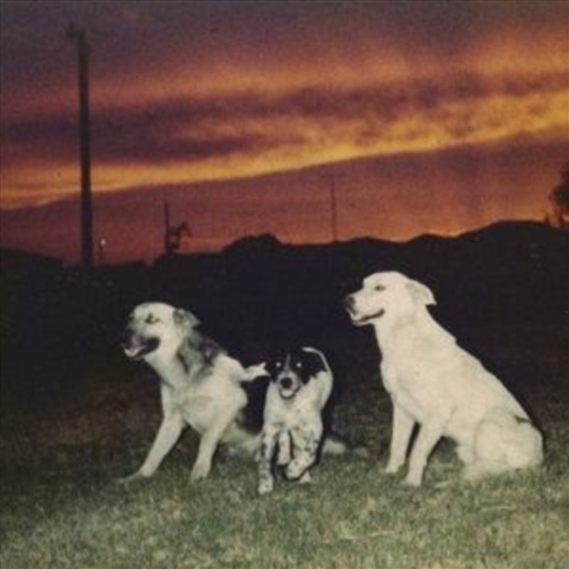 New Quiet/Product Detail/Rock/Pop