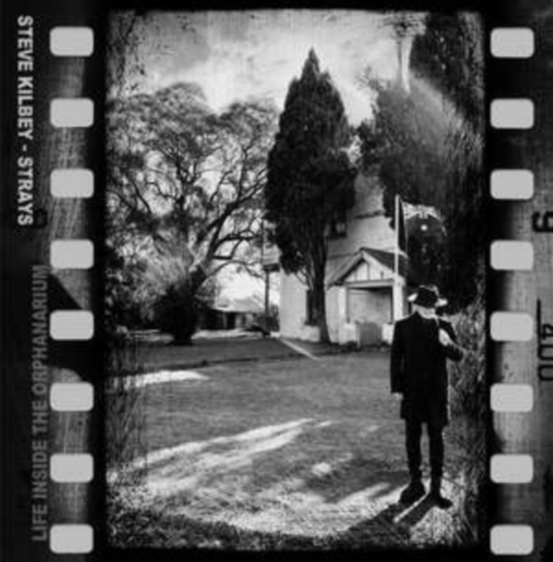 Strays - Life Inside The Orphanarium/Product Detail/Rock/Pop