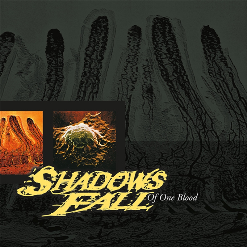 Of One Blood - Clear Vinyl/Product Detail/Metal
