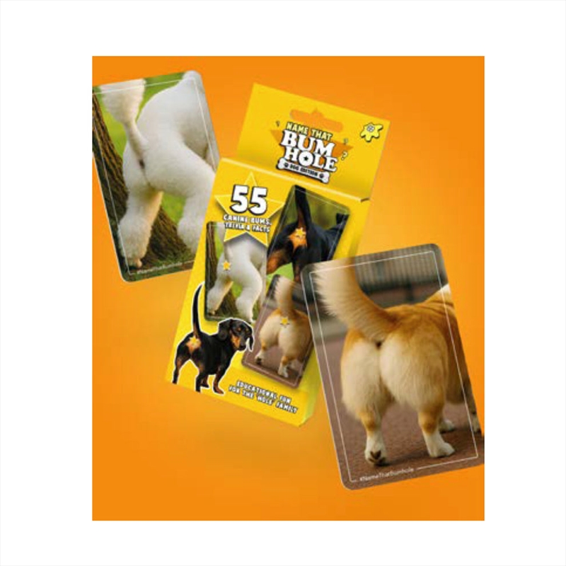 Bubblegum Stuff - Name That Bumhole Dog Edition/Product Detail/Card Games