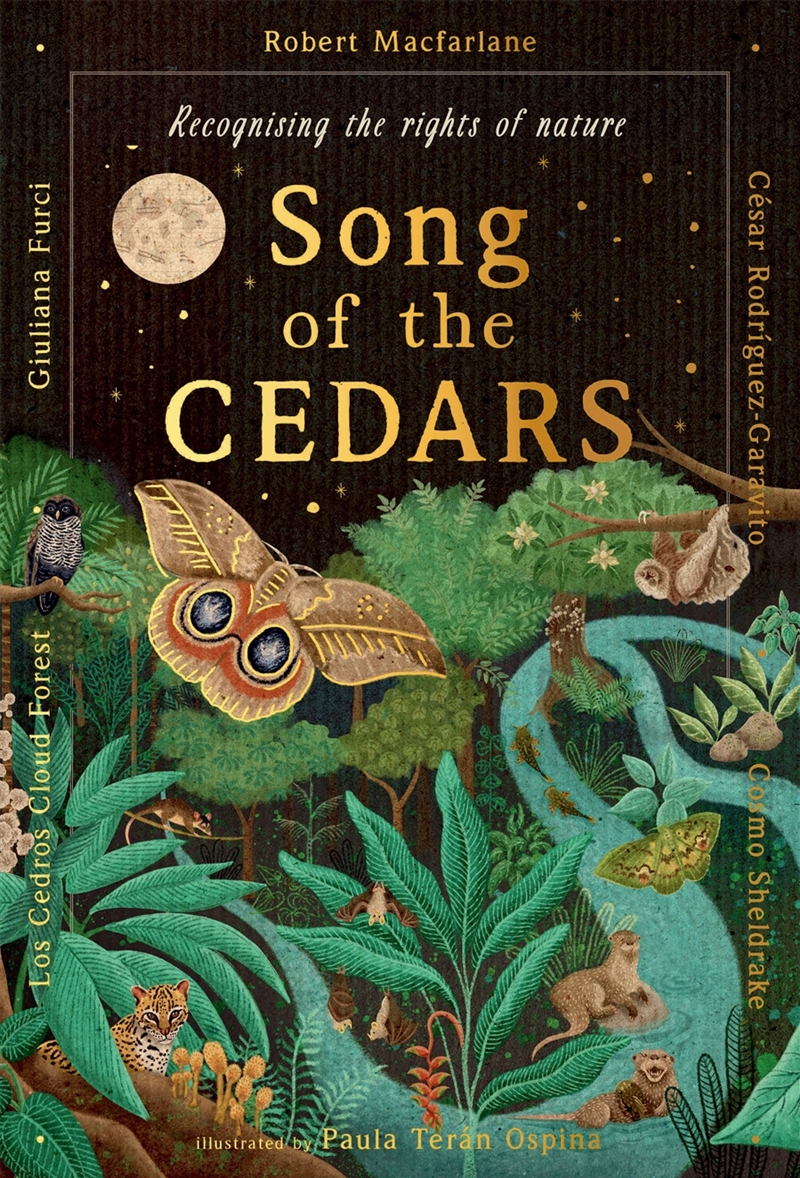 Song of the Cedars/Product Detail/Childrens