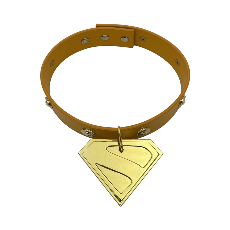 Superman - Krypto Collar Limited Edition Prop Replica/Product Detail/Replicas