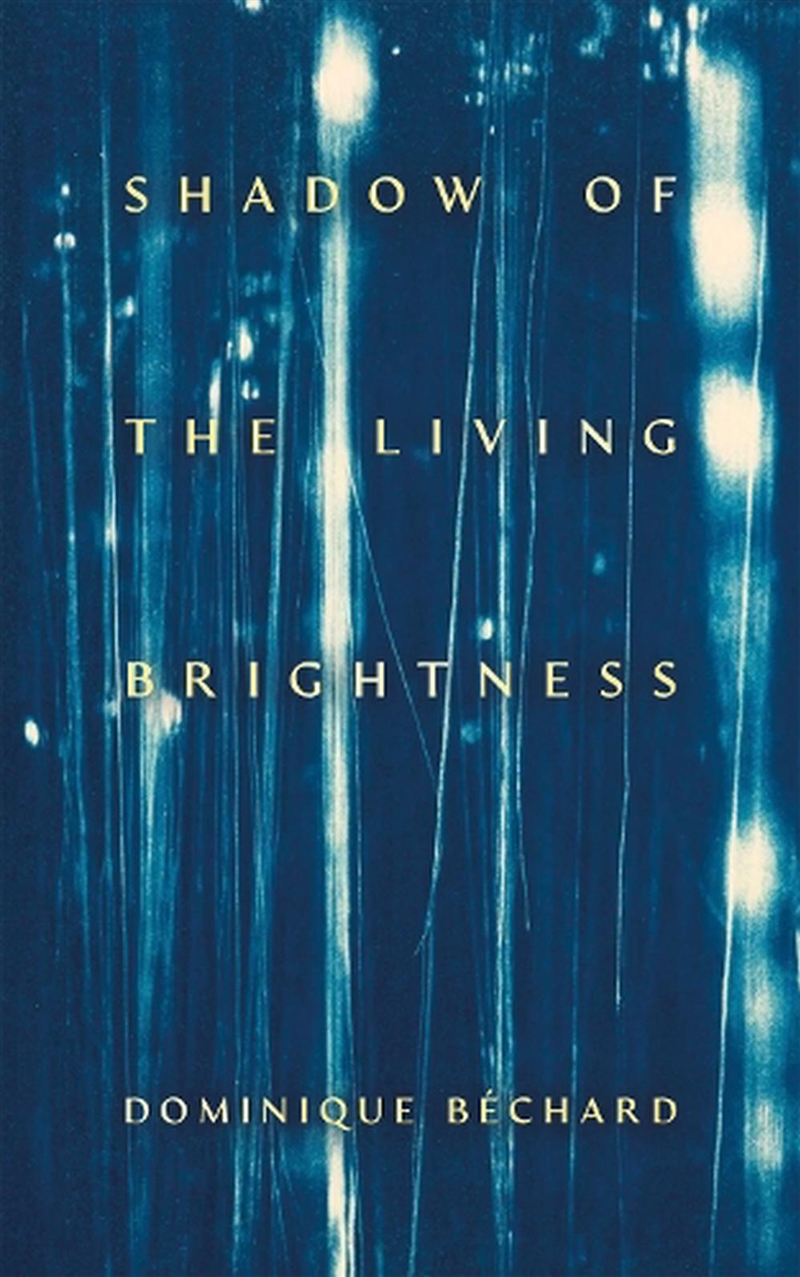Shadow of the Living Brightness/Product Detail/Literature & Poetry