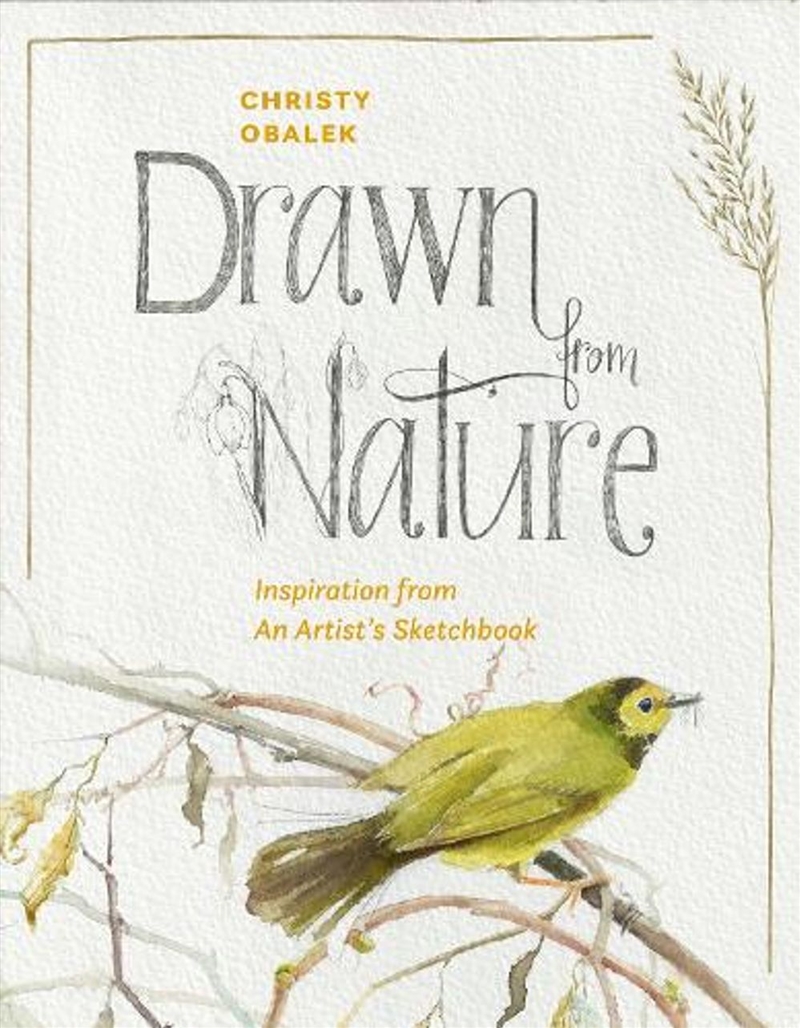 Drawn from Nature/Product Detail/Art