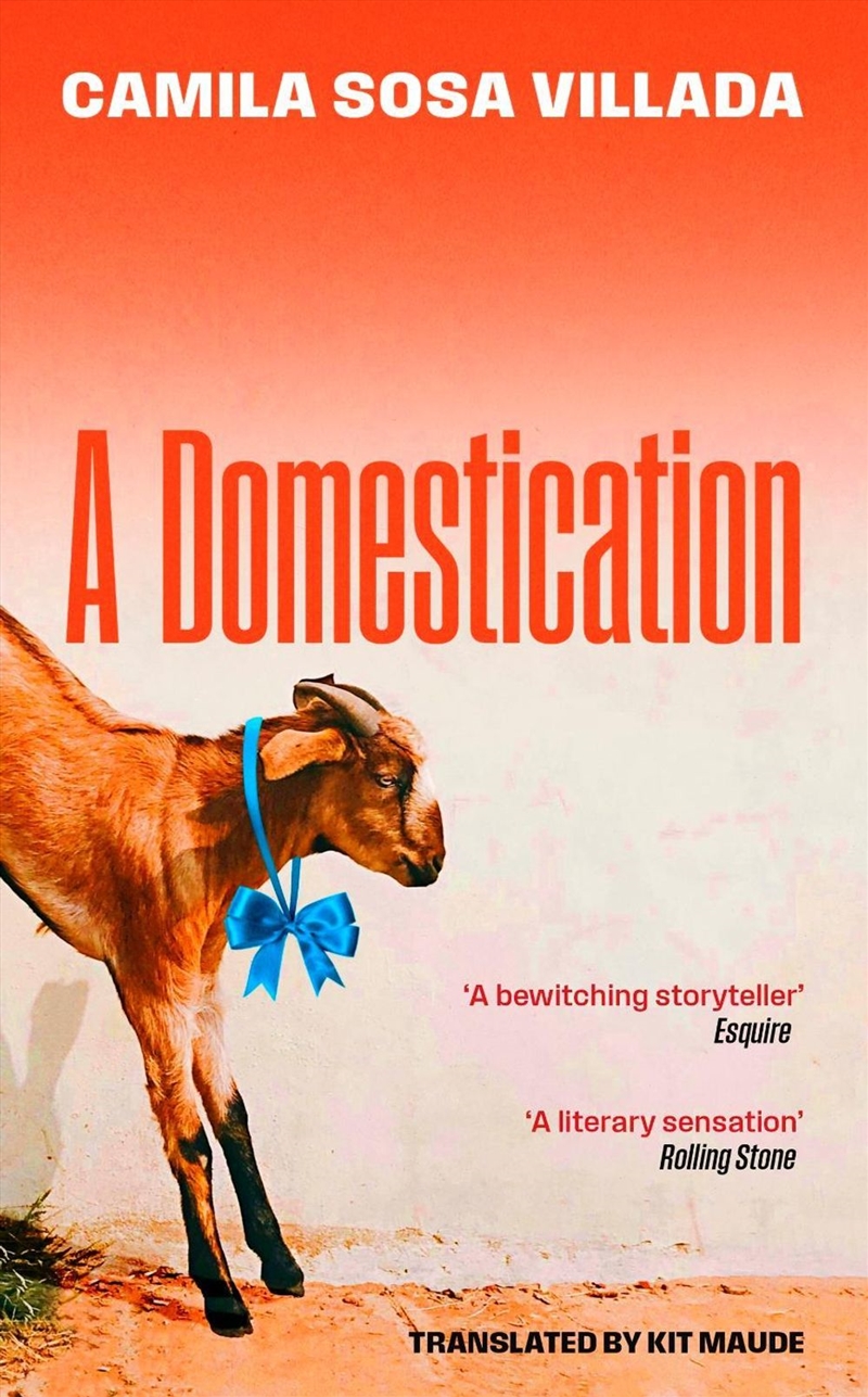 A Domestication/Product Detail/Modern & Contemporary