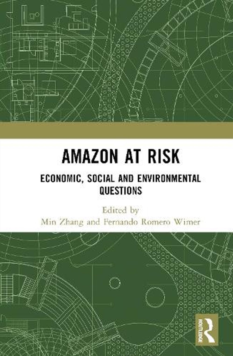 Amazon at Risk/Product Detail/Accounting & Finance