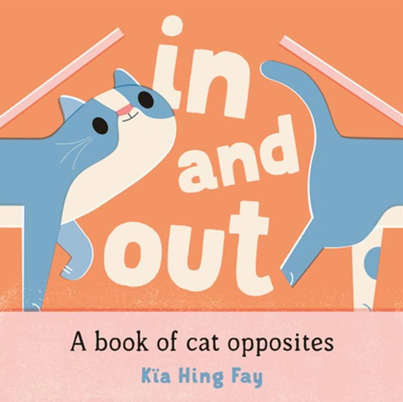 In and Out: A Book of Cat Opposites/Product Detail/Early Childhood Fiction Books