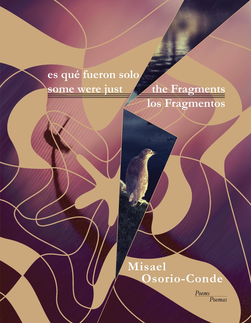 Some Were Just The Fragments // Es Que Fueron Solo Los Fragmentos/Product Detail/Society & Culture