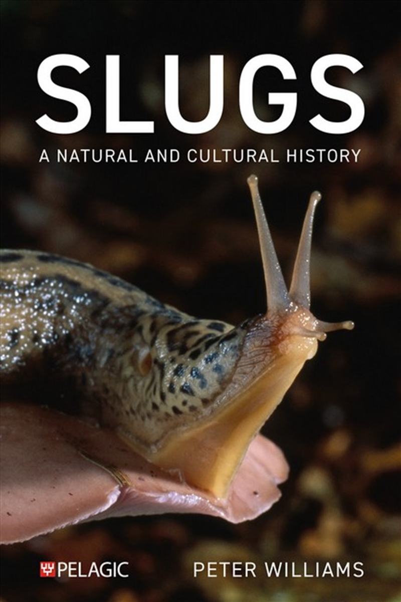 Slugs/Product Detail/Animals & Nature