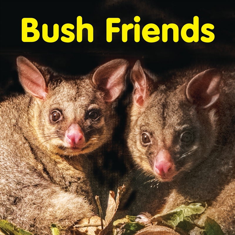 Bush Friends/Product Detail/Early Childhood Fiction Books