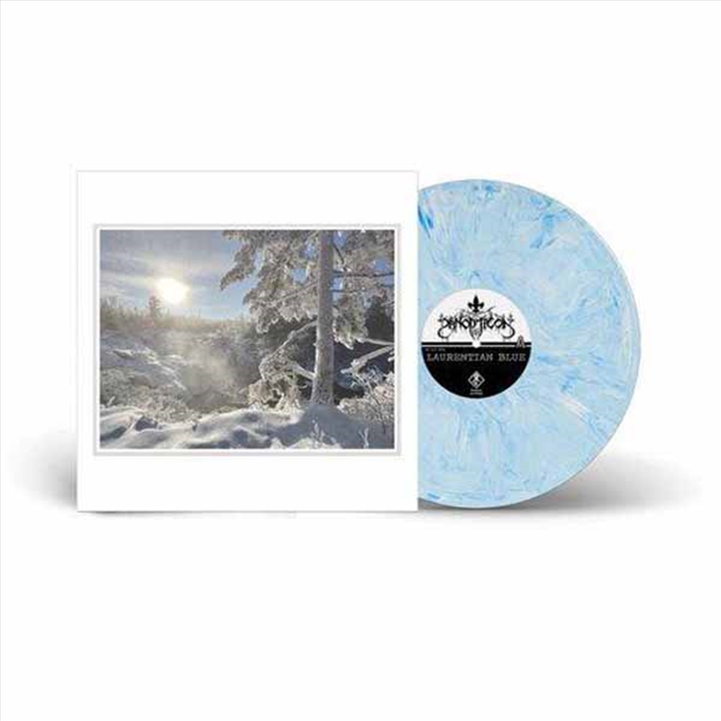 Laurentian Blue - White W/ Blue Vinyl/Product Detail/Metal