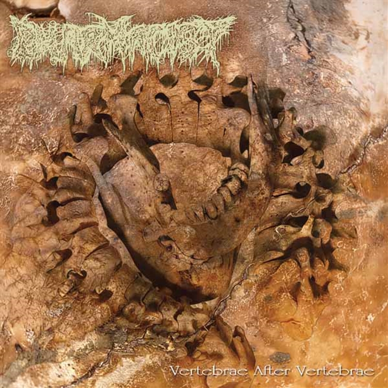 Vertebrae After Vertebrae - Lucky Dip Vinyl/Product Detail/Metal