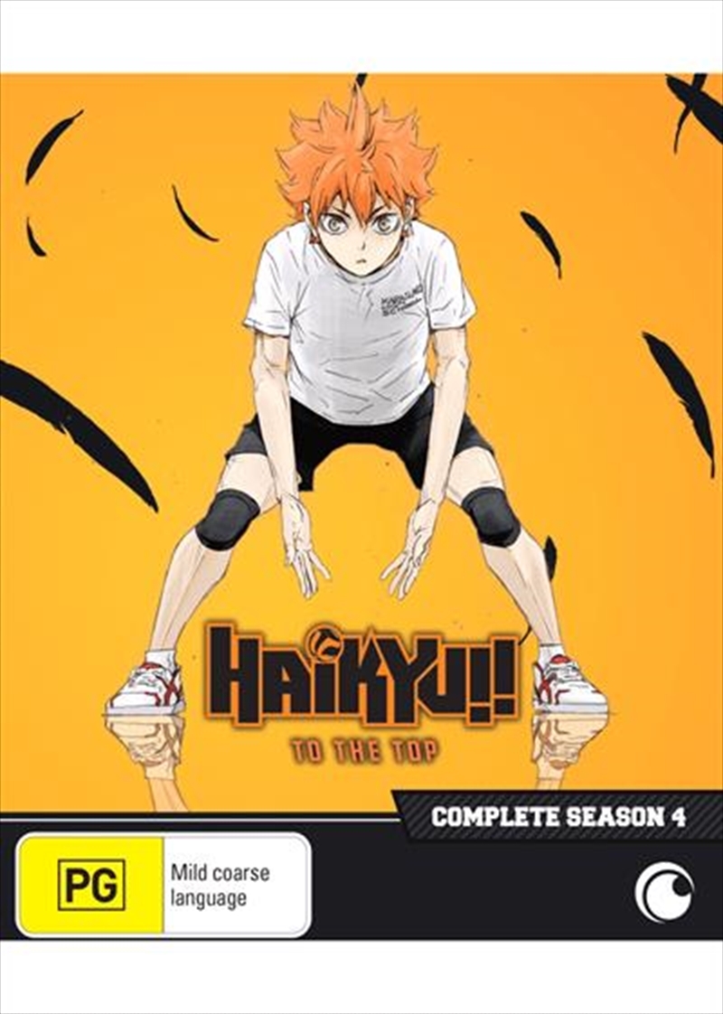 Haikyu!! - Season 4 - Eps 1-25  + Ovas 1-2/Product Detail/Anime
