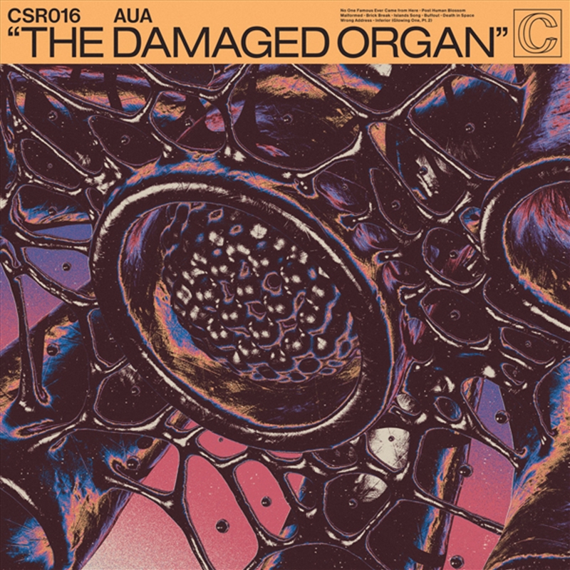 The Damaged Organ/Product Detail/Rock/Pop