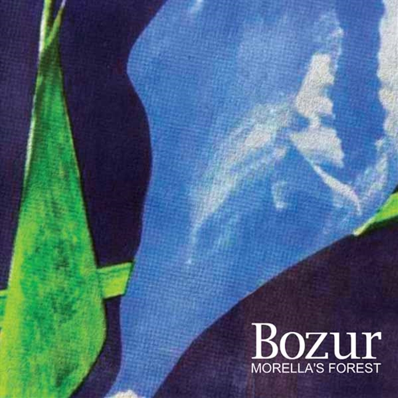 Bozur/Product Detail/Punk