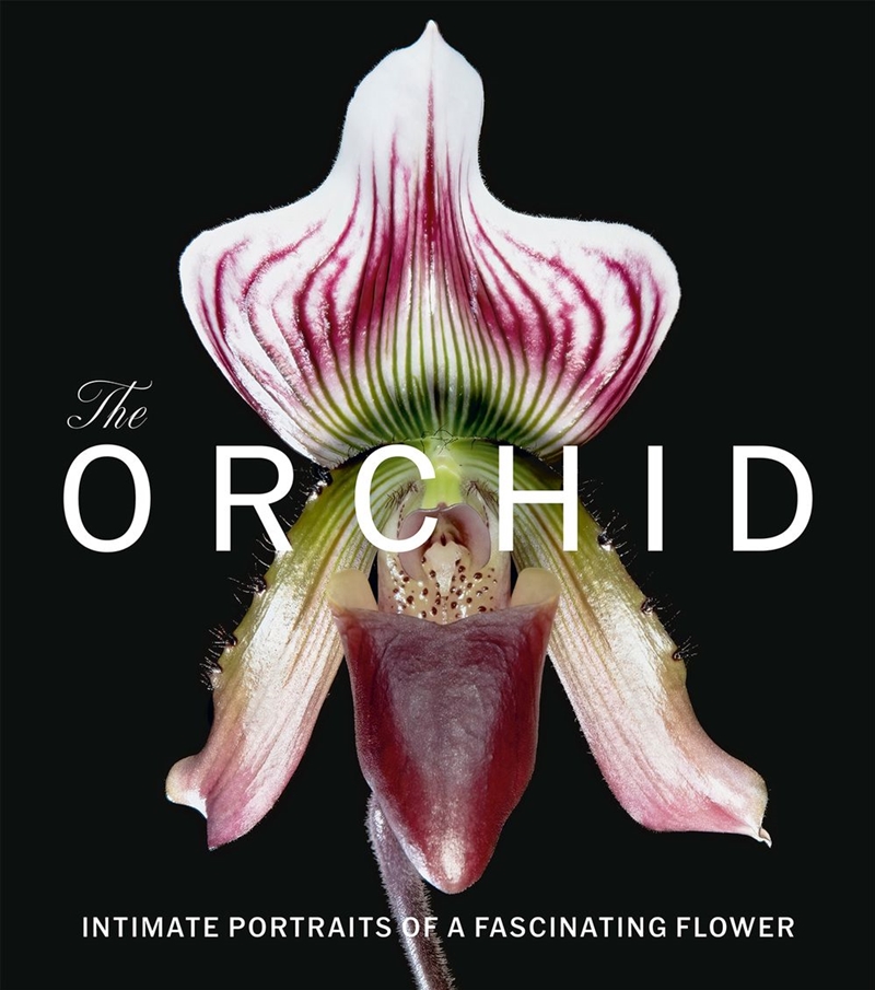 Orchid/Product Detail/Animals & Nature