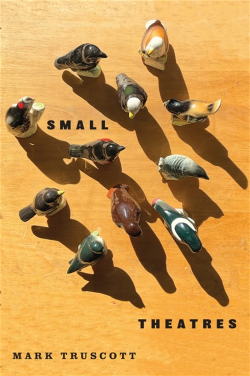 Small Theatres/Product Detail/Literature & Poetry