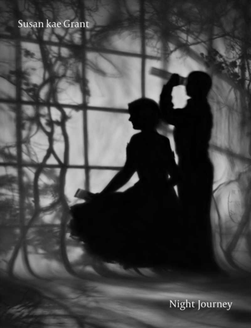 Susan kae Grant: Night Journey/Product Detail/Photography