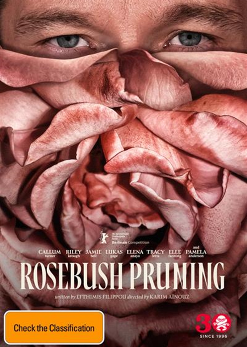 Rosebush Pruning/Product Detail/Thriller