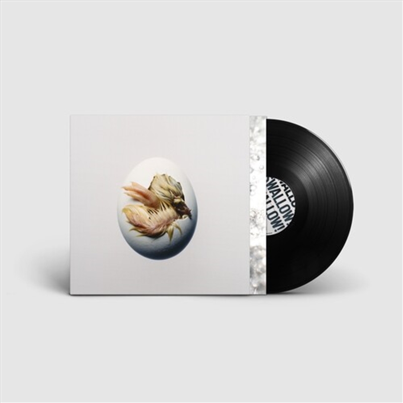 Swallow/Product Detail/Rock/Pop
