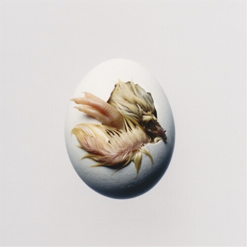 Swallow/Product Detail/Rock/Pop