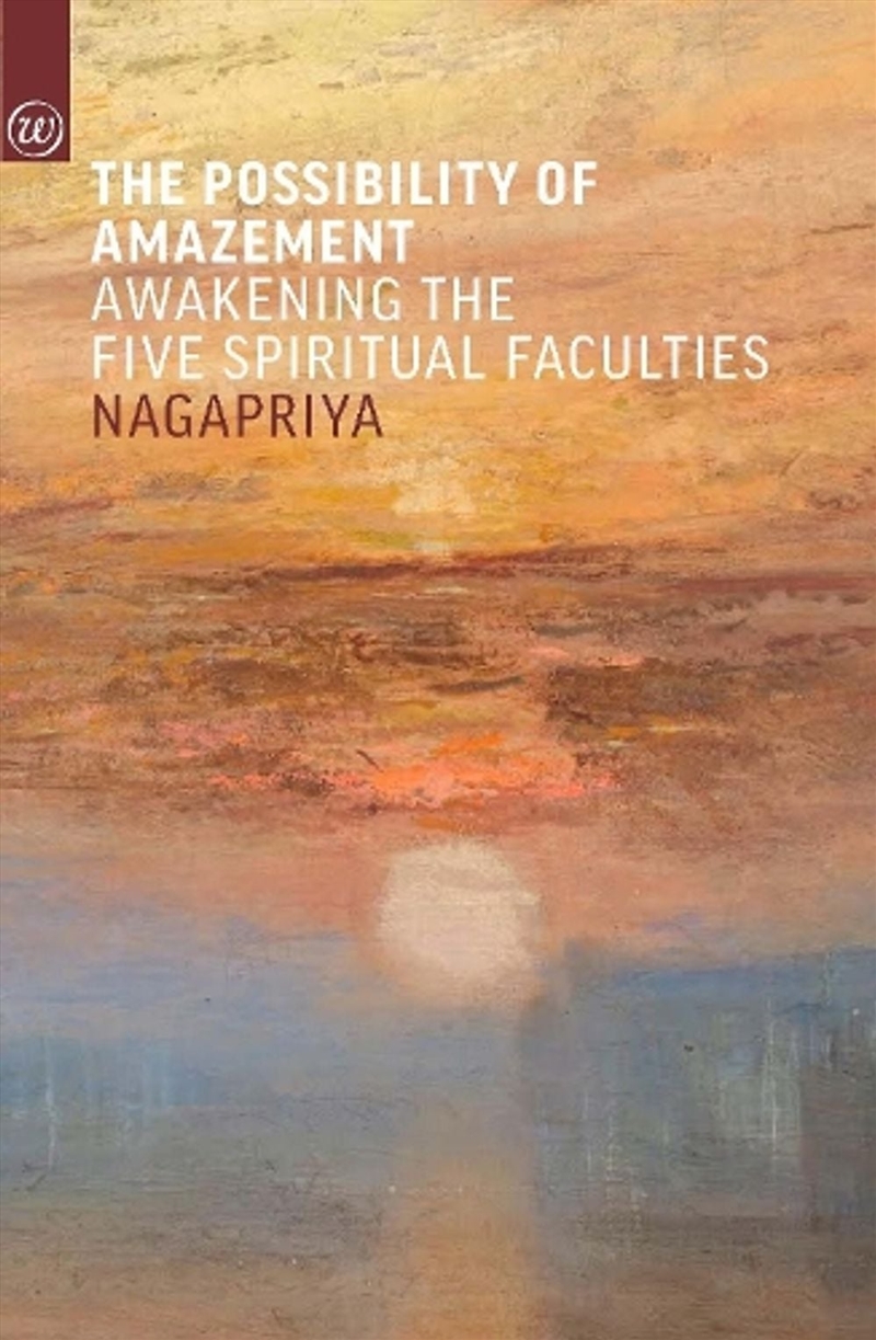 The Possibility of Amazement : Awakening the Five Spiritual Faculties/Product Detail/Self Help & Personal Development