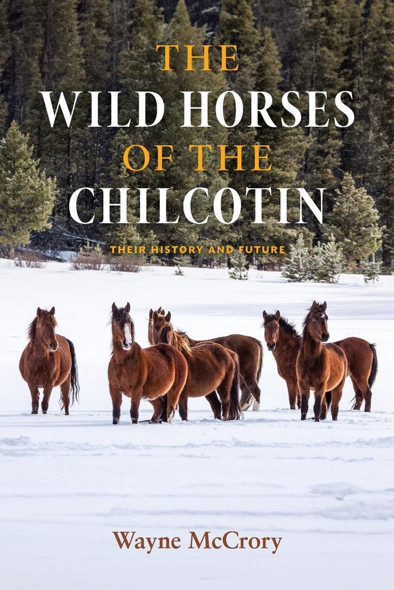 The Wild Horses Of The Chilcotin/Product Detail/Animals & Nature