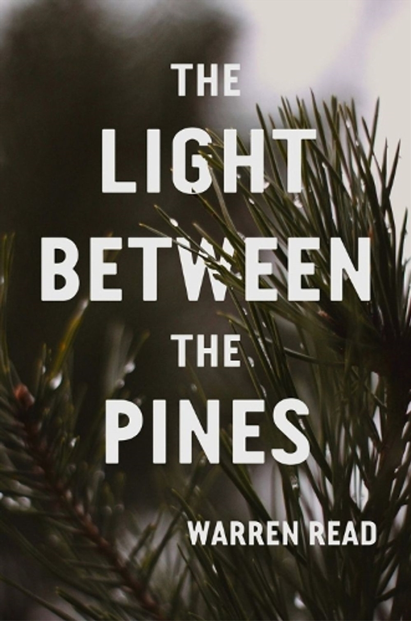 The Light Between The Pines/Product Detail/Modern & Contemporary