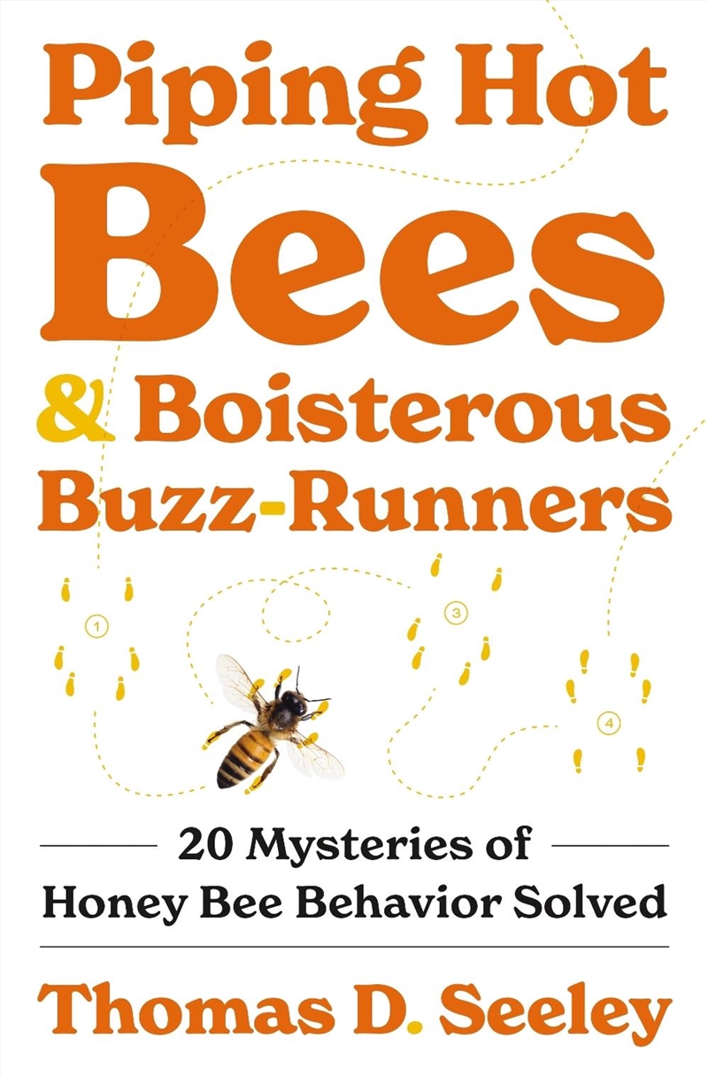 Piping Hot Bees And Boisterous Buzz-Runners/Product Detail/Animals & Nature