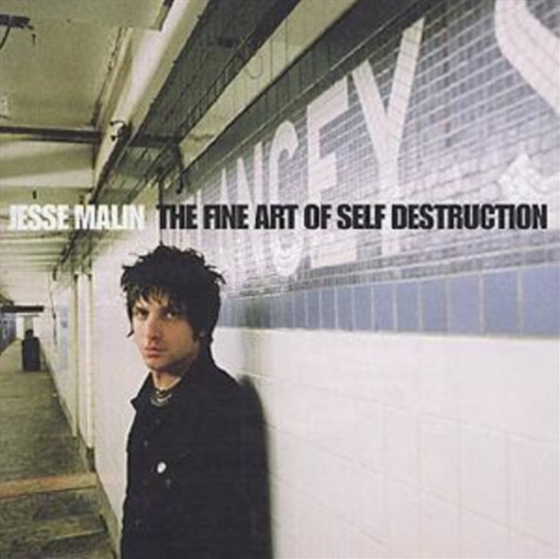 Fine Art Of Self Destruction/Product Detail/Rock/Pop