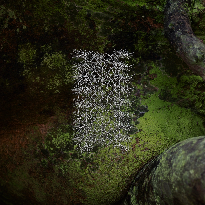 To All That Cannot Be Undone/Product Detail/Metal
