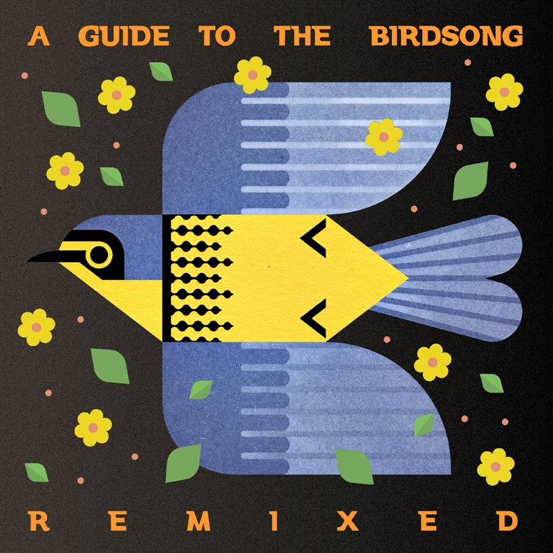 A Guide To The Birdsong Remixed/Product Detail/Dance