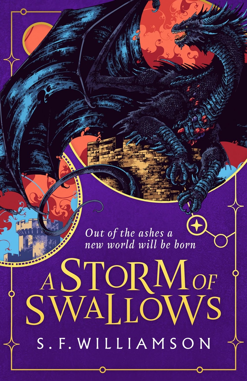 Storm Of Swallows/Product Detail/Young Adult Fiction
