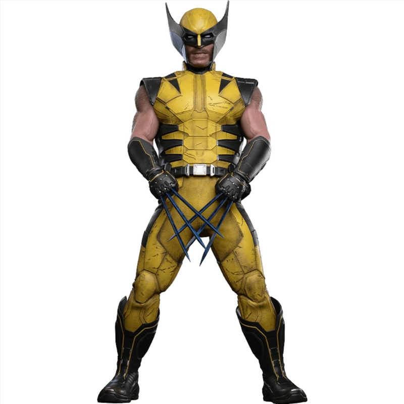 Wolverine (VG 2027) - Wolverine (Collector Version) 1:6 Scale Collectable Action Figure/Product Detail/Figurines