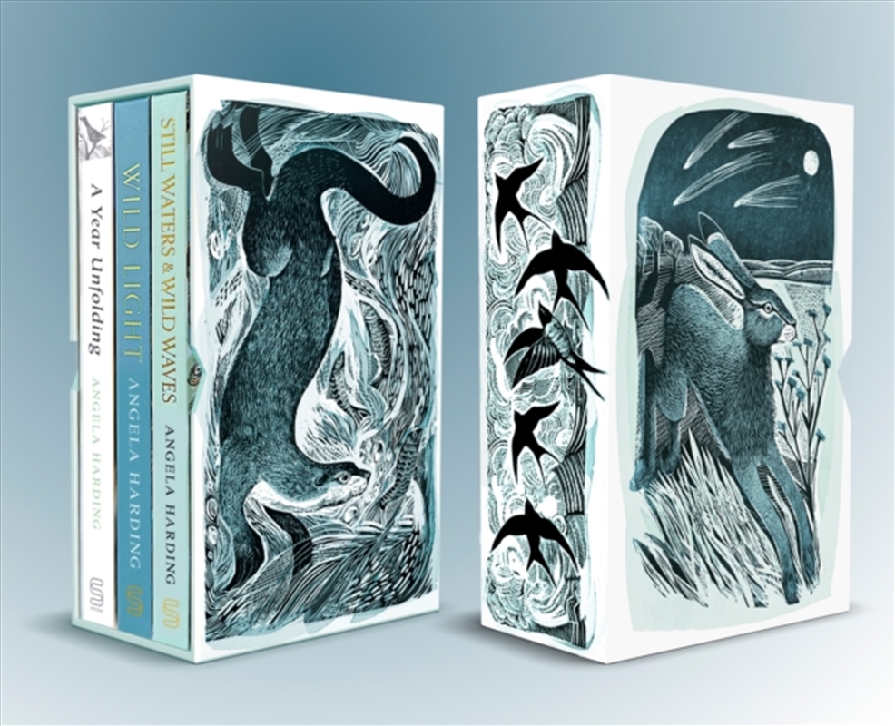 Angela Harding Box Set : A Year Unfolding, Wild Light, Still Waters & Wild Waves/Product Detail/Animals & Nature